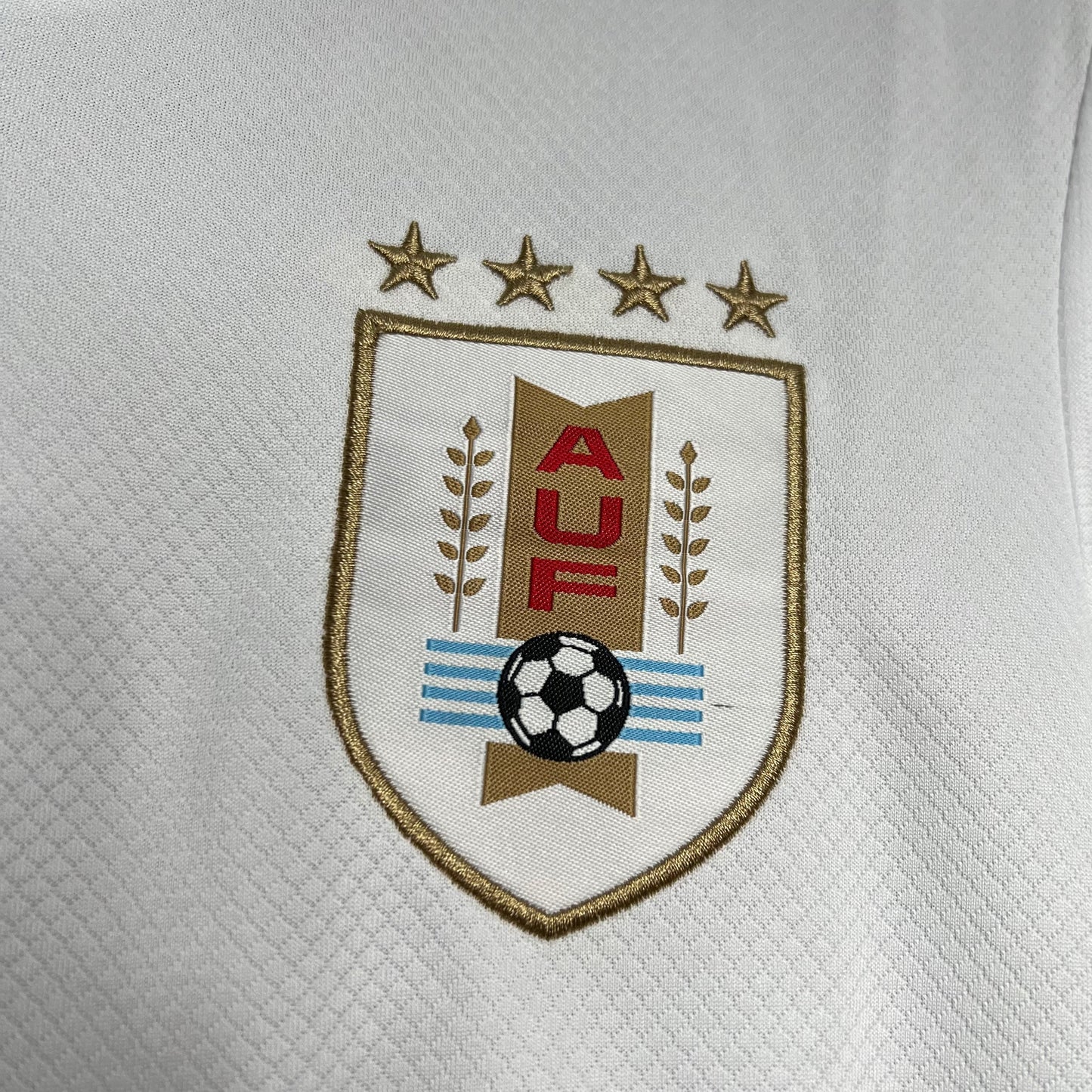 Uruguay Visita 2024 Versión Fan