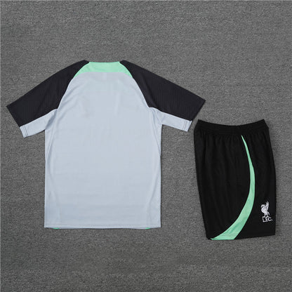 Liverpool Entrenamiento Kit Adulto Gris Verde 2023/24