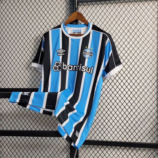 Gremio Local 2023 Versión Fan