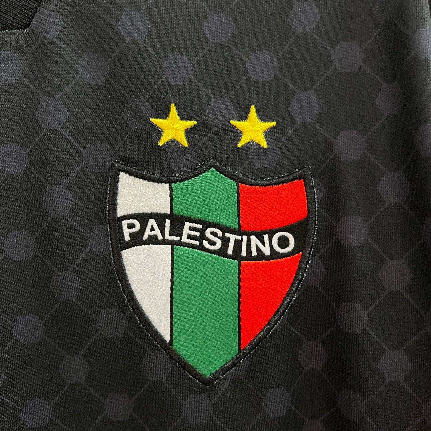 Palestino Visita 2024/25 Versión Fan